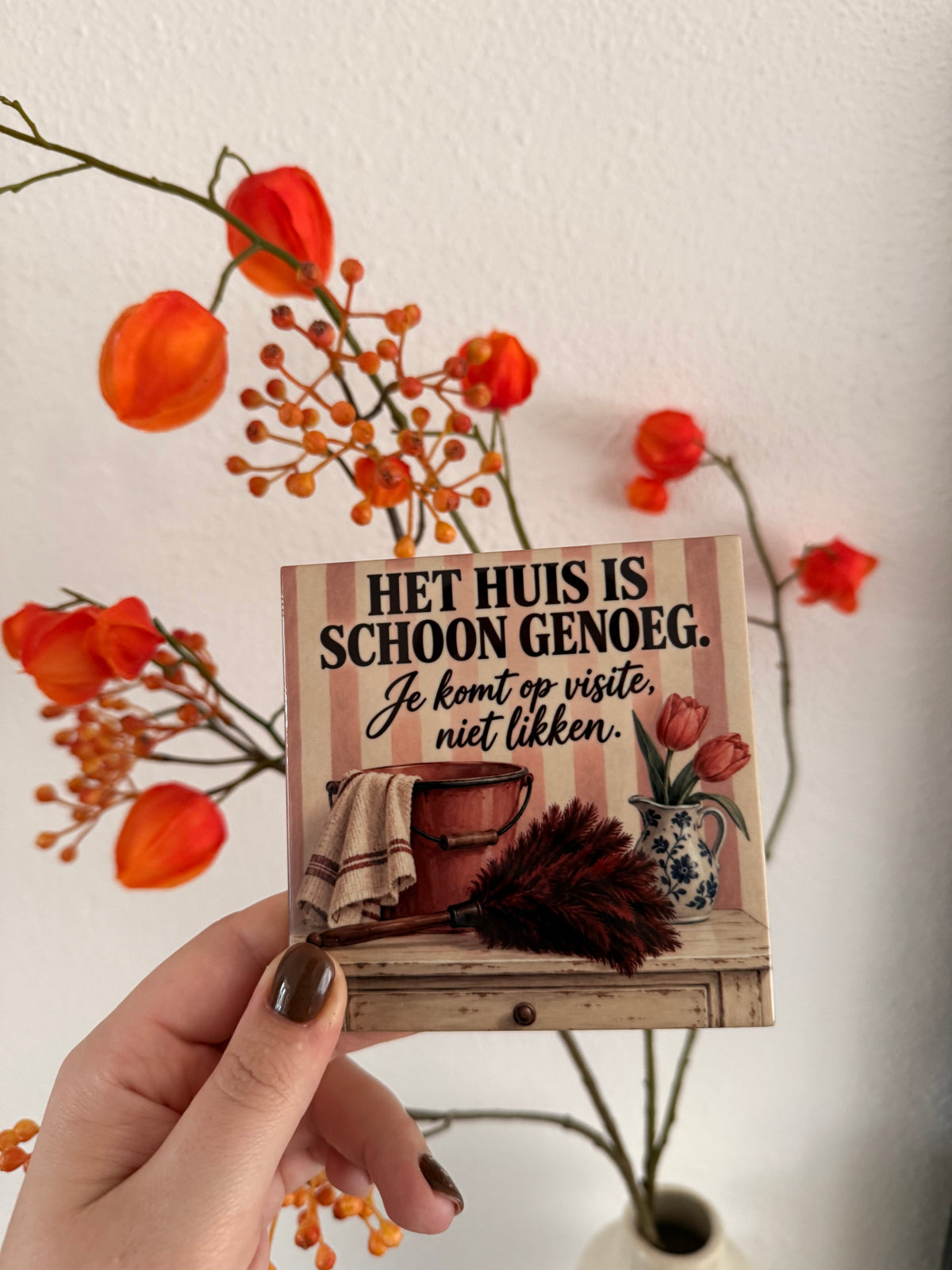 Tegeltje ‘Het huis is schoon genoeg’