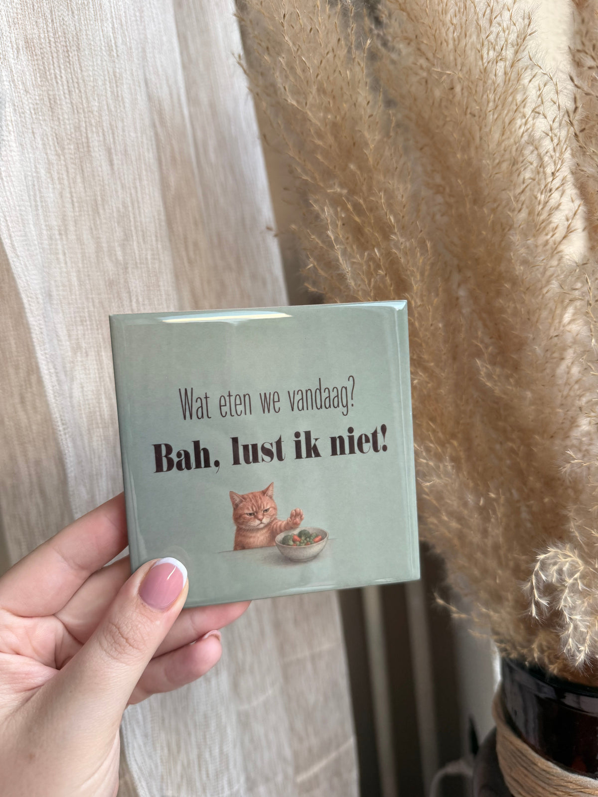 Wat eten we vandaag? Bah, lust ik niet!