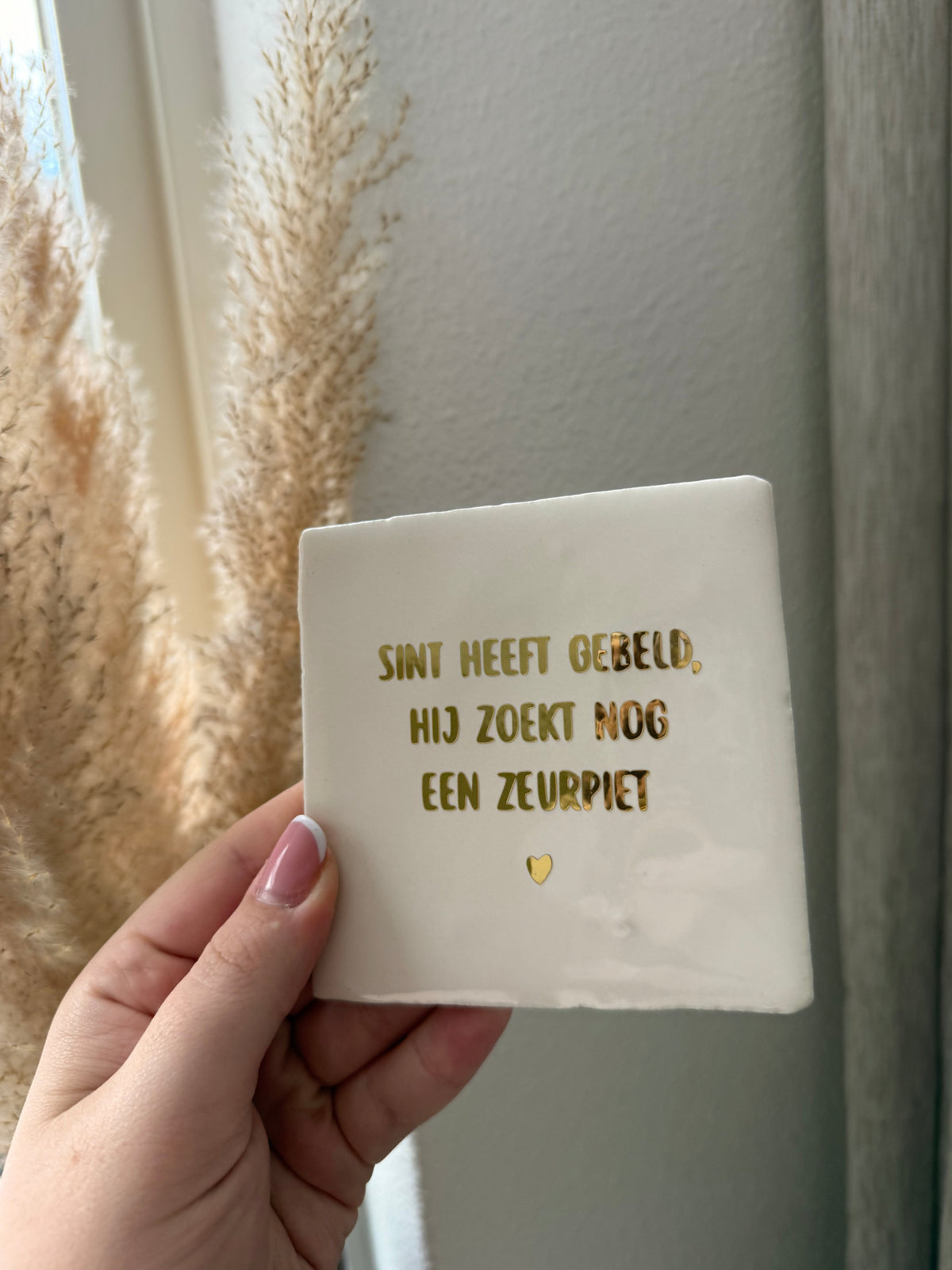 Sint heeft gebeld, hij zoekt nog een zeurpiet