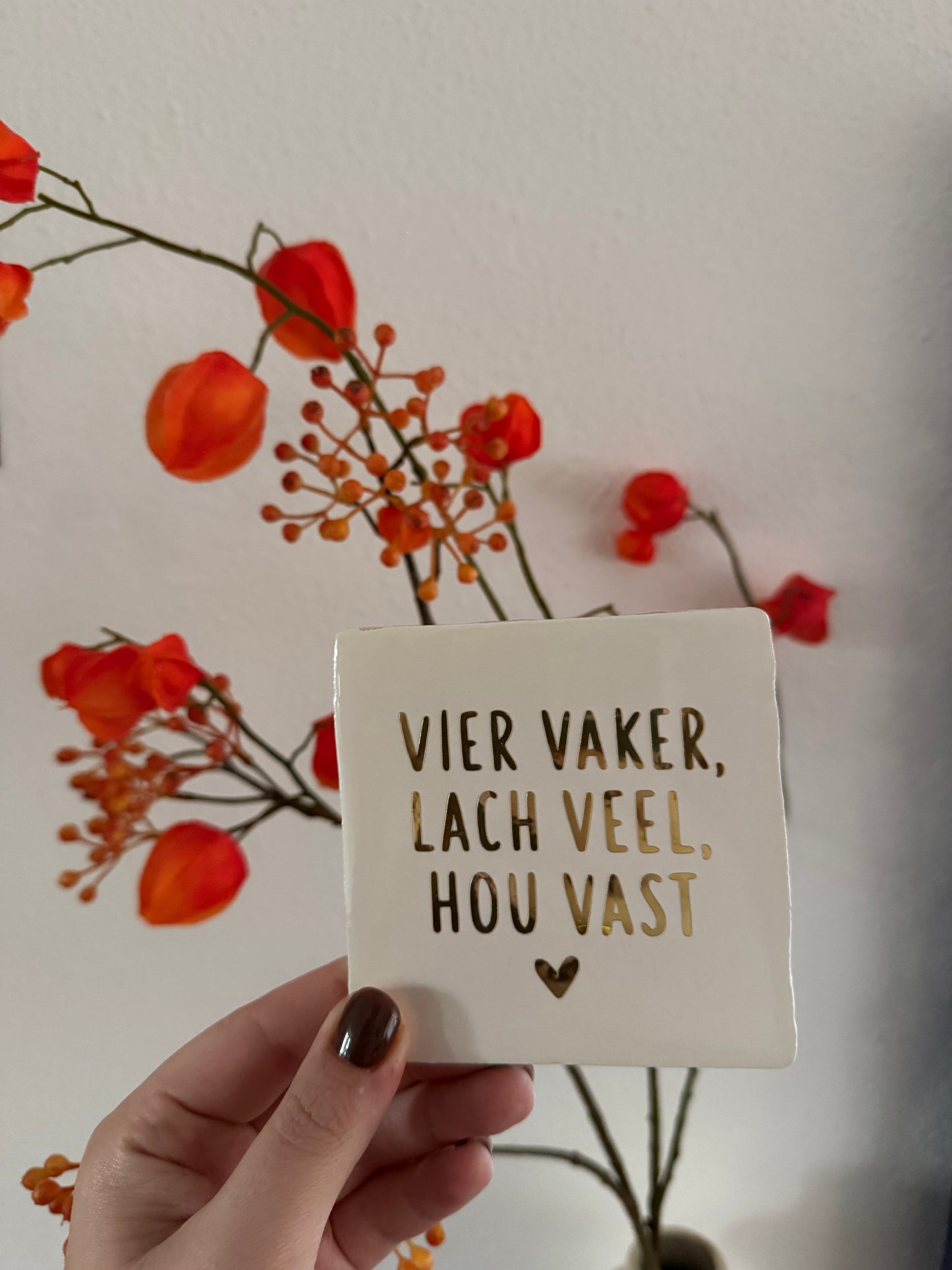 Vier vaker lach veel, hou vast