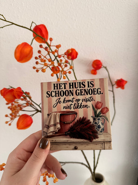 Tegeltje ‘Het huis is schoon genoeg’