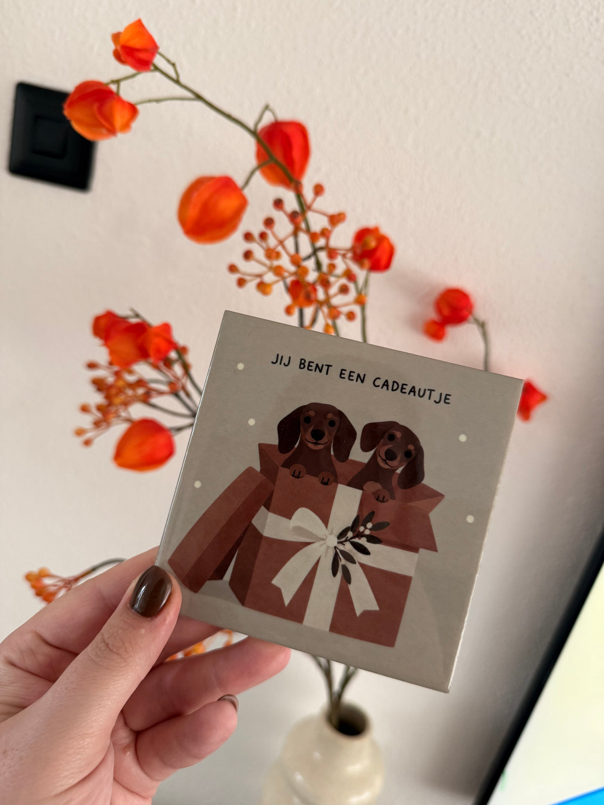 Tegeltje ‘Jij bent een cadeautje’