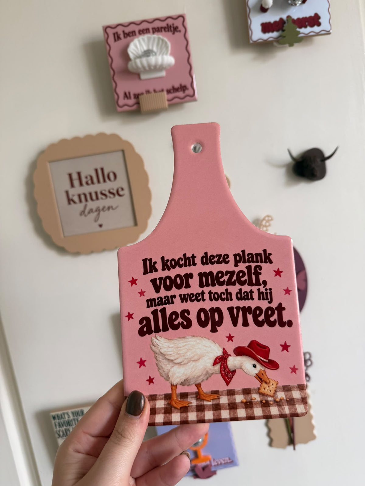 Roze keramieken plankje met tekst Ik kocht deze plank voor mezelf en gans met cowboyhoed