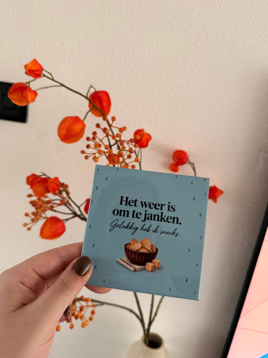 Tegeltje ‘Het weer is om te janken’