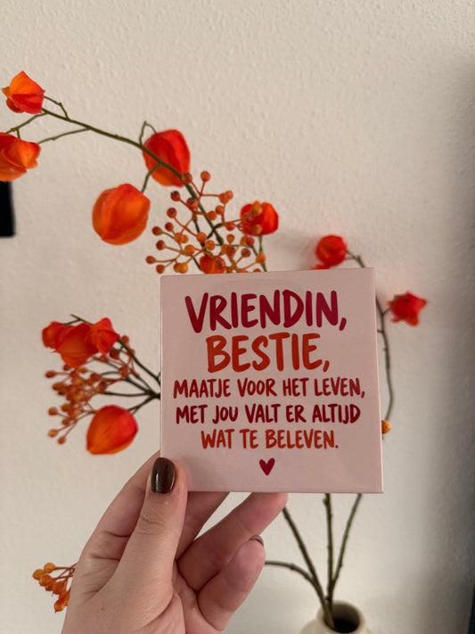 Tegeltje ‘Vriendin, bestie, maatje voor het leven’