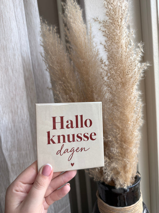 Tegel met tekst Hallo knusse dagen en hartje
