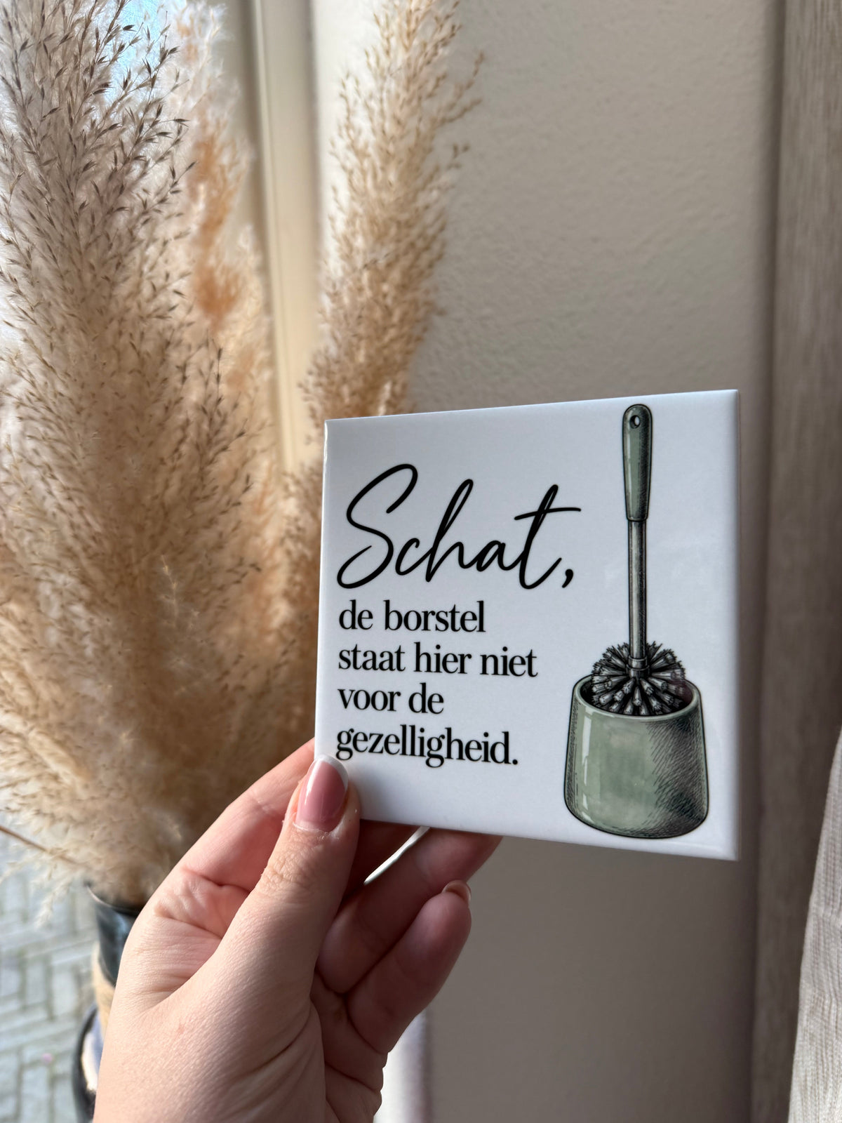 Tegel Schat de borstel staat hier niet voor de gezelligheid - hoogglans 11x11 cm